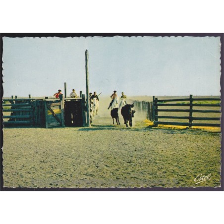 En Camargue, triage des taureaux - carte postale, 13 Bouches-du-Rhône, chevaux, ESTEL