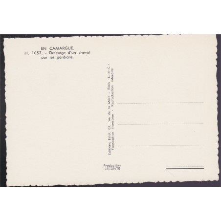En Camargue, dressage d'un cheval par les gardians - carte postale, 13 Bouches-du-Rhône, chevaux, ESTEL