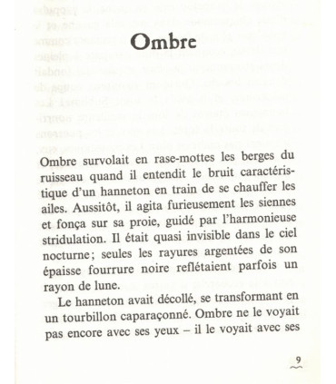 Silverwing, Kenneth Oppel, 2002 -, chauves-souris, mondes fantastiques, fantasy, littérature jeunesse,
