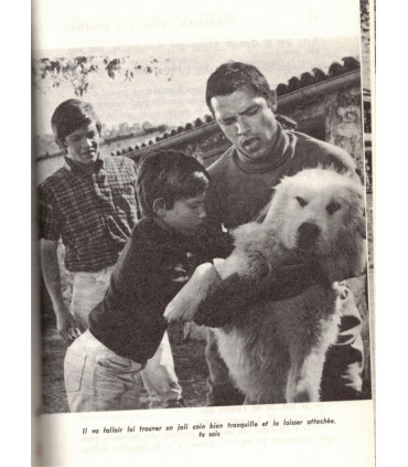 Sébastien parmi les hommes, Cécile Aubry, 1968 - feuilleton TV, cinéma, aventures jeunesse,