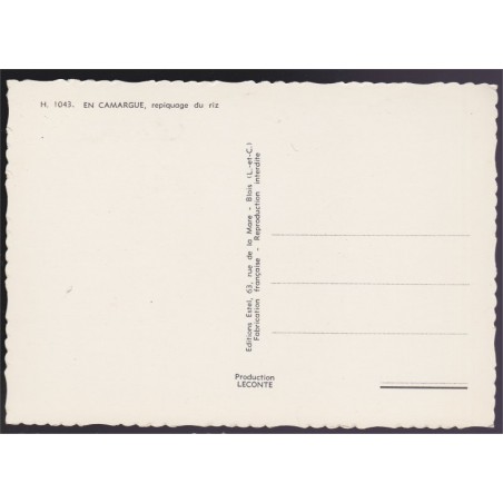 En Camargue, repiquage du riz - carte postale, 13 Bouches-du-Rhône, rizières, ESTEL