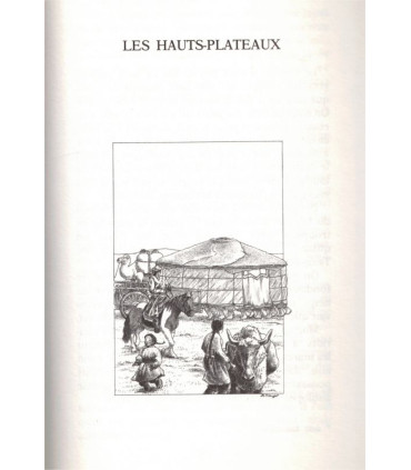 Prisonnière des Mongols, Evelyne Brisou-Pellen, 1992 -, Mongolie, aventures jeunesse, Cascade,