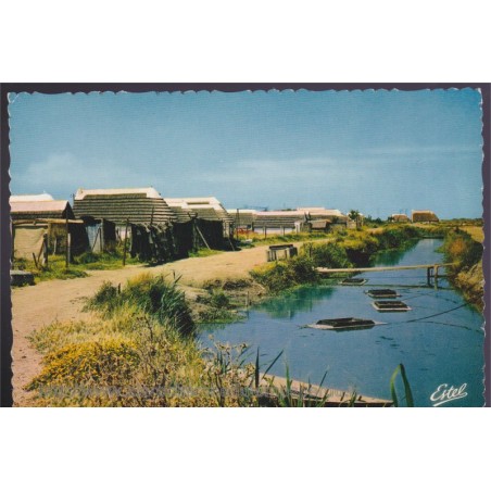En Camargue, cabanes de pêcheurs - carte postale, 13 Bouches-du-Rhône, ESTEL