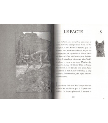 Croc-Blanc, Jack London, 1994 -,  loup courageux, chiens, Grand Nord canadien, aventures jeunesse, Pleine Lune,