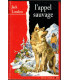 L'appel sauvage, Jack London, 1995 -,  chien loup courageux, chiens, Grand Nord canadien, aventures jeunesse, Deux Coqs d'Or