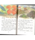Larmal'oeil et le marchand de secrets, Olivier de Vleeschouwer, 1993 - Bibliothèque Mini-Rose Minirose, premières lectures