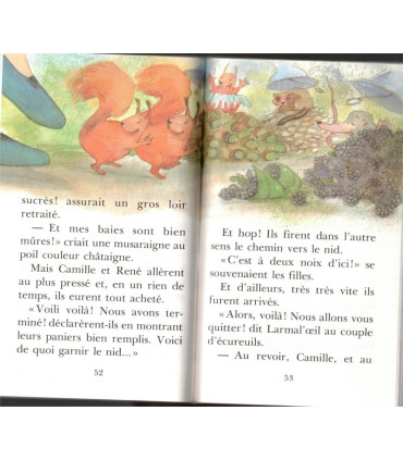 Larmal'oeil et le marchand de secrets, Olivier de Vleeschouwer, 1993 - Bibliothèque Mini-Rose Minirose, premières lectures