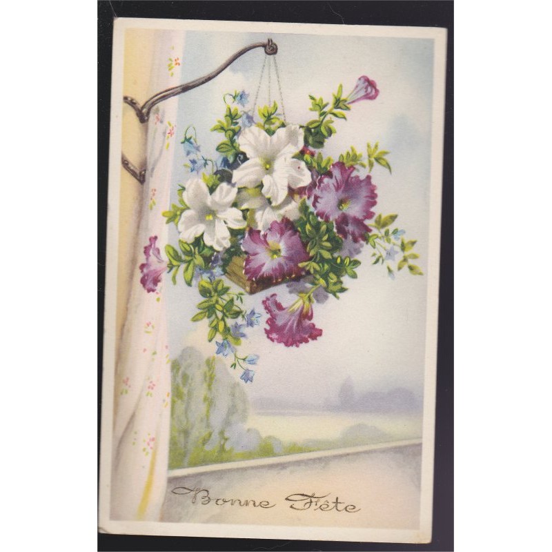 Bonne Fete Petunias Sur Une Patere Carte Postale Fleurs Bonne Fete Petunias Sur Une Patere Carte Postale Fleurs