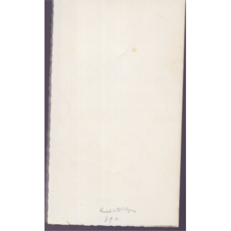 Bonne fête, guirlande d'hirondelles - carte postale, oiseaux,