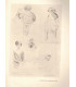 Des enfants dans un jardin, André Lichtenberger - littérature jeunesse, roman populaire, La Petite Illustration Roman n°151 1927