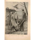 Le château sous les roses, T2, Pierre Villetard - littérature jeunesse, roman populaire, La Petite Illustration Roman n°10 1921