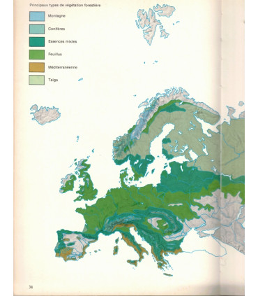 Animaux des forêts, Ann et Myron Sutton, 1980 - forêts d'Europe, d'Asie, d'Amérique, d'Afrique, d'Australie, animaux sauvages,