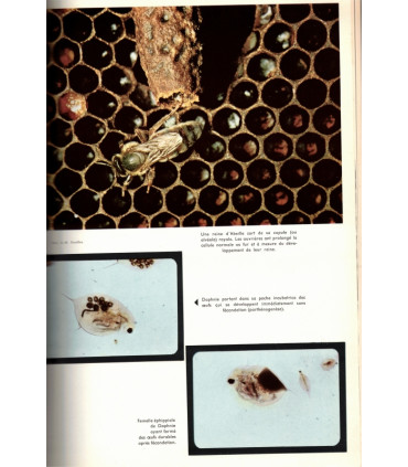La vie, encyclopédie Larousse, Jean Rostand & Andrée Tétry,  1962 - biologie, zoologie, botanique
