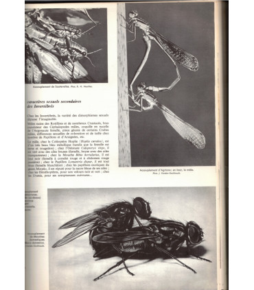 La vie, encyclopédie Larousse, Jean Rostand & Andrée Tétry,  1962 - biologie, zoologie, botanique
