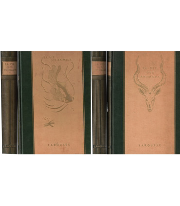 La vie des animaux, Léon Bertin, Tome 1 ET tome 2, 1950 -  animaux sauvages, zoologie, encyclopédie Larousse