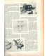 La vie des animaux, Léon Bertin, Tome 1 ET tome 2, 1950 -  animaux sauvages, zoologie, encyclopédie Larousse