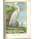 La vie des animaux, Léon Bertin, Tome 1 ET tome 2, 1950 -  animaux sauvages, zoologie, encyclopédie Larousse