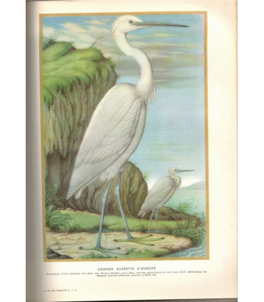 La vie des animaux, Léon Bertin, Tome 1 ET tome 2, 1950 -  animaux sauvages, zoologie, encyclopédie Larousse