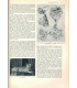 La vie des animaux, Léon Bertin, Tome 1 ET tome 2, 1950 -  animaux sauvages, zoologie, encyclopédie Larousse