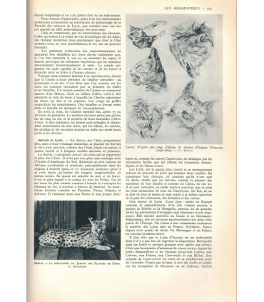 La vie des animaux, Léon Bertin, Tome 1 ET tome 2, 1950 -  animaux sauvages, zoologie, encyclopédie Larousse