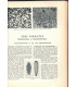 La vie des animaux, Léon Bertin, Tome 1 ET tome 2, 1949 -  animaux sauvages, zoologie, encyclopédie Larousse