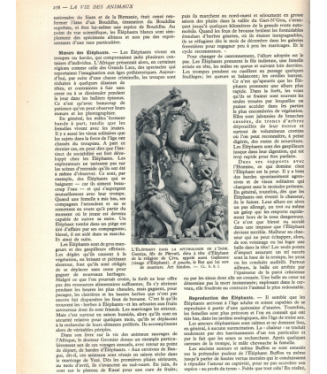 La vie des animaux, Léon Bertin, Tome 1 ET tome 2, 1949 -  animaux sauvages, zoologie, encyclopédie Larousse