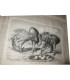 La Chasse Illustrée, journal des chasseurs et la vie à la campagne 1876 9e année - journaux anciens, animaux,