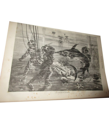 La Chasse Illustrée, journal des chasseurs et la vie à la campagne 1876 9e année - journaux anciens, animaux,