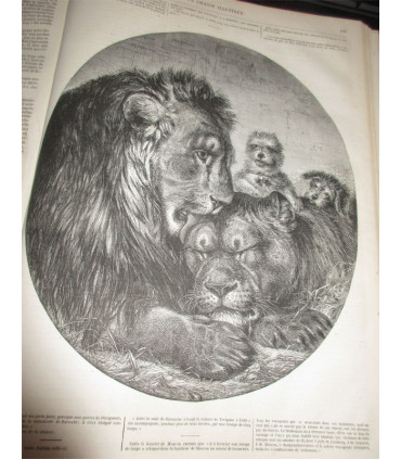 La Chasse Illustrée, journal des chasseurs et la vie à la campagne 1876 9e année - journaux anciens, animaux,
