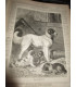 La Chasse Illustrée, journal des chasseurs et la vie à la campagne 1876 9e année - journaux anciens, animaux,