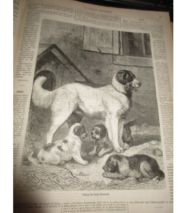 La Chasse Illustrée, journal des chasseurs et la vie à la campagne 1876 9e année - journaux anciens, animaux,