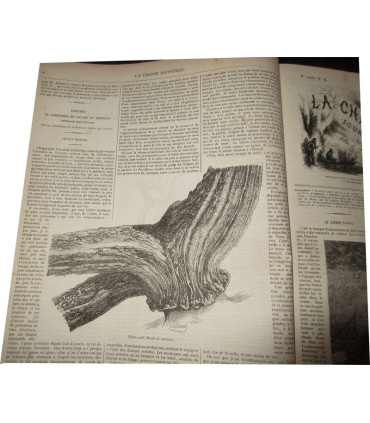 La Chasse Illustrée, journal des chasseurs et la vie à la campagne 1876 9e année - journaux anciens, animaux,