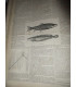 La Chasse Illustrée, journal des plaisirs de la ferme et du château 1868-1869 2e année - journaux anciens, animaux,