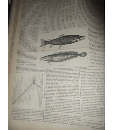 La Chasse Illustrée, journal des plaisirs de la ferme et du château 1868-1869 2e année - journaux anciens, animaux,