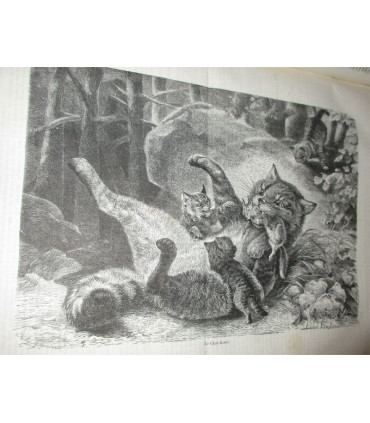 La Chasse Illustrée, journal des plaisirs de la ferme et du château 1868-1869 2e année - journaux anciens, animaux,
