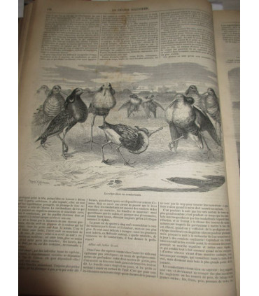 La Chasse Illustrée, journal des plaisirs de la ferme et du château 1868-1869 2e année - journaux anciens, animaux,