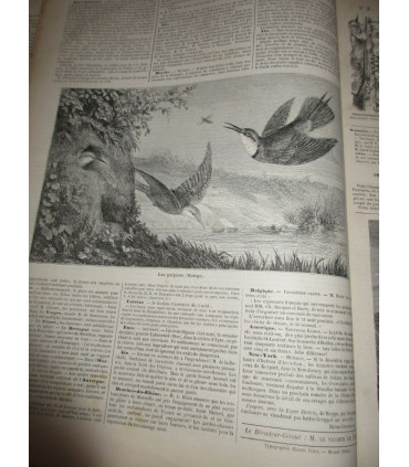 La Chasse Illustrée, journal des plaisirs de la ferme et du château 1869-1870 3e année - journaux anciens, animaux,