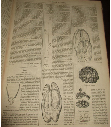 La Chasse Illustrée, journal des plaisirs de la ferme et du château 1869-1870 3e année - journaux anciens, animaux,