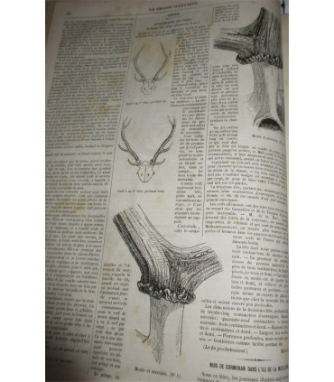La Chasse Illustrée, journal des plaisirs de la ferme et du château 1869-1870 3e année - journaux anciens, animaux,