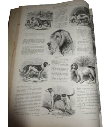 La Chasse Illustrée, journal des plaisirs de la ferme et du château 1867-1868 1e année, avec n° Spécimen du 14 juil 1867 -