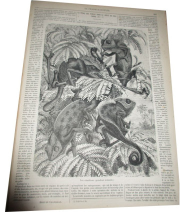 La Chasse Illustrée, journal des plaisirs de la ferme et du château 1868-1869 2e année - journaux anciens, animaux,