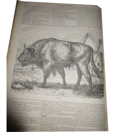La Chasse Illustrée, journal des plaisirs de la ferme et du château 1868-1869 2e année - journaux anciens, animaux,