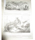La Chasse Illustrée, journal des chasseurs et la Vie à la campagne 1875, 8e année - journaux anciens, animaux sauvages,