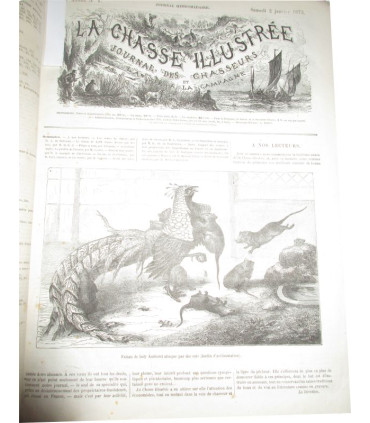 La Chasse Illustrée, journal des chasseurs et la Vie à la campagne 1875, 8e année - journaux anciens, animaux sauvages,