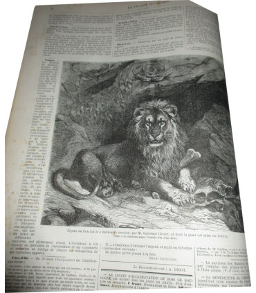 La Chasse Illustrée, journal des chasseurs et la Vie à la campagne 1875, 8e année - journaux anciens, animaux sauvages,