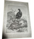 La Chasse Illustrée, journal des chasseurs et la Vie à la campagne 1875, 8e année - journaux anciens, animaux sauvages,