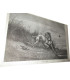 La Chasse Illustrée, journal des chasseurs et la Vie à la campagne 1875, 8e année - journaux anciens, animaux sauvages,