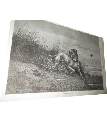 La Chasse Illustrée, journal des chasseurs et la Vie à la campagne 1875, 8e année - journaux anciens, animaux sauvages,
