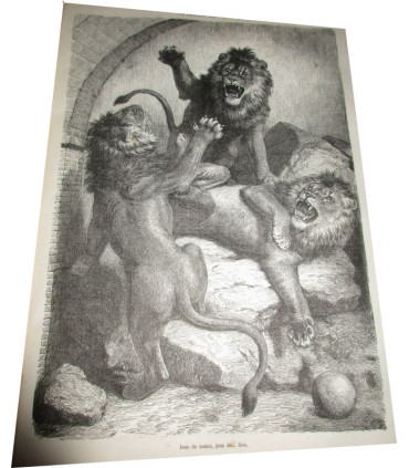 La Chasse Illustrée, journal des chasseurs et la Vie à la campagne 1875, 8e année - journaux anciens, animaux sauvages,