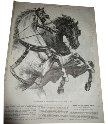 La Chasse Illustrée, journal des chasseurs et la Vie à la campagne 1875, 8e année - journaux anciens, animaux sauvages,